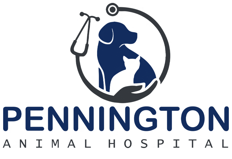 Pennington Animal Hospital | Huntsville, AL Veterinary Care